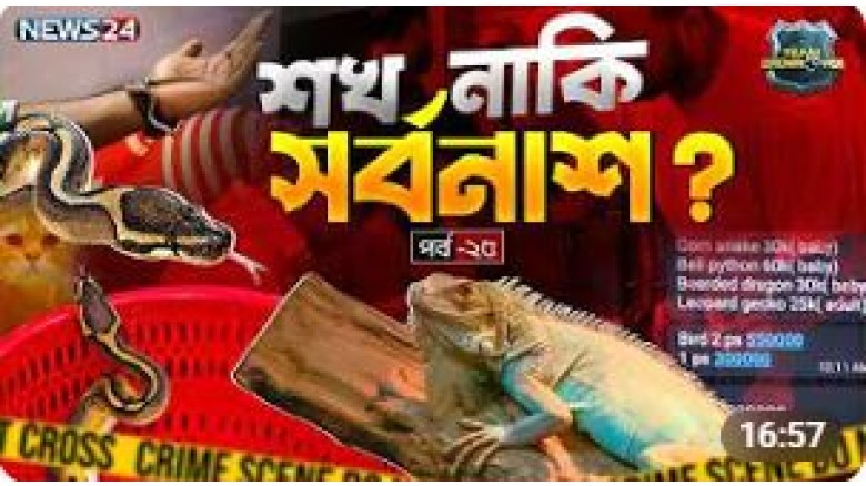 বিদেশি প্রা'ণীর অ'বৈধ বে'চাকেনার ভয়ংকর নেটওয়ার্ক!