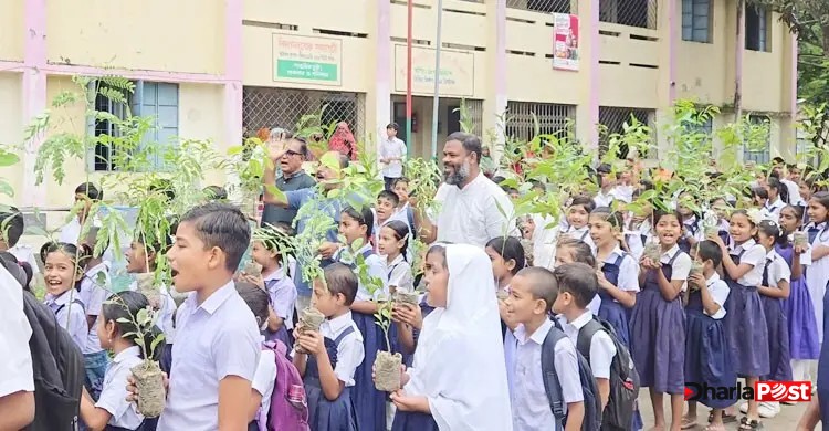 গাছটা তোমার নয়, তুমি এর অভিভাবক