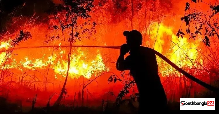 দাবানলের ধোঁয়ায় শুধু সেপ্টেম্বরেই প্রাণহানি সাড়ে তিন হাজার
