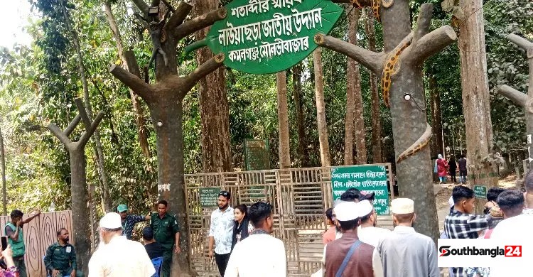 পাঁচ মাস ধরে বেতন-ভাতা বন্ধ, মানবেতর জীবনযাপন বন পাহারাদারদের
