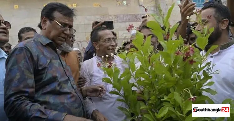 নিউমার্কেটের ফুটপাত দখলমুক্ত করে গাছ লাগালো ডিএসসিসি