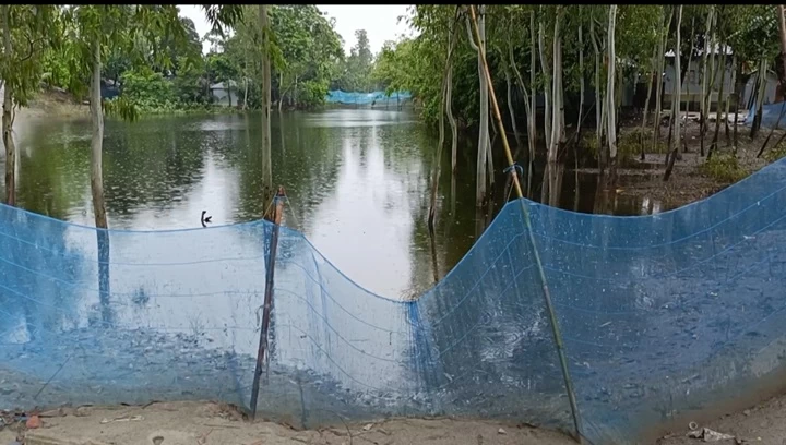 বন্যায় কুড়িগ্রামে মৎস্য খাতে ৪ কোটি ৫৮ লাখ টাকার ক্ষতি