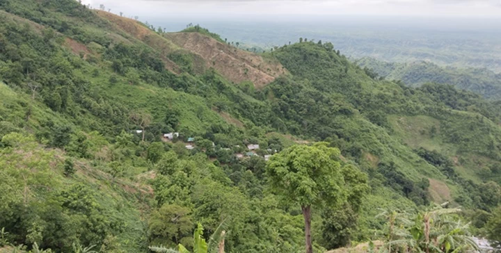 বান্দরবানে বাড়ছে ডেঙ্গু ও ম্যালেরিয়া প্রকোপ