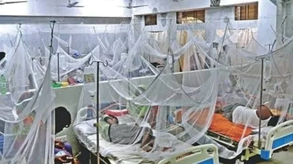 ২৪ ঘণ্টায় ডেঙ্গুতে দুই শিশুসহ ৪ জনের মৃত্যু, হাসপাতালে ভর্তি ৩১৯